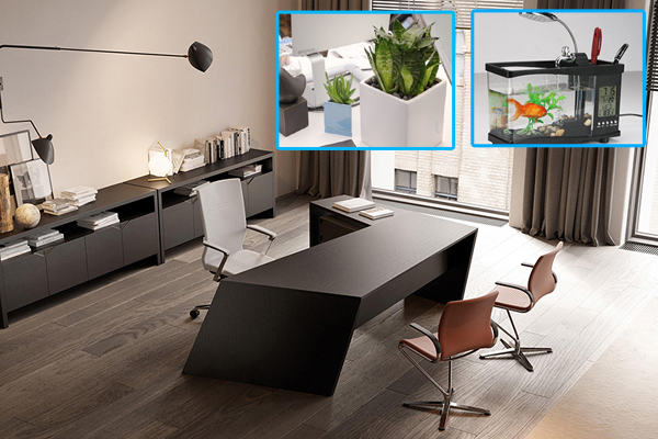 Đừng dại để 3 thứ này thẳng cửa chính, cả cuộc đời sẽ gặp nhiều khó khăn xui xẻo, nên hóa giải ngay lập tức-4