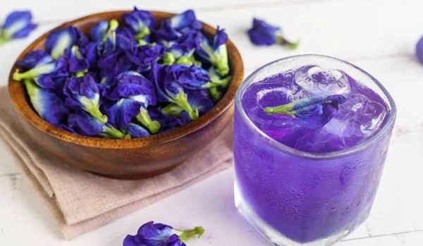 Trong hoa đậu biếc có 2 bộ phận chứa độc tố có thể gây ngộ độc, nhiều gia đình vẫn chưa biết để dùng cho đúng-3