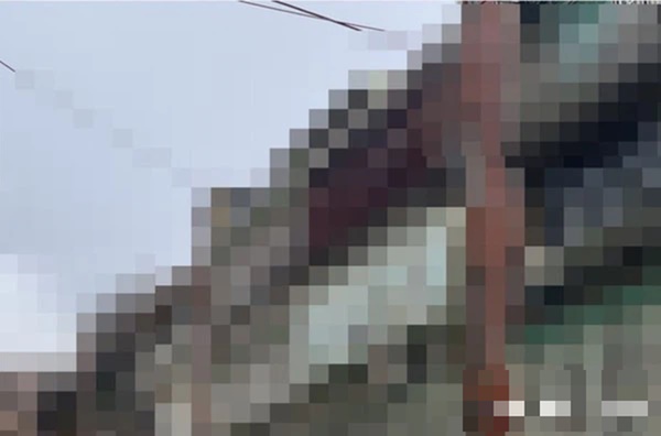 3 thi thể nằm la liệt và 1 phụ nữ thoi thóp trong căn hộ, cảnh sát điều tra đã xác nhận một bi kịch gia đình đau đớn-2