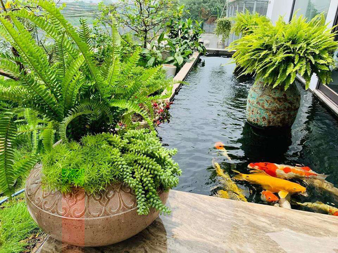 Căn nhà 5 tầng của vợ chồng Bát Tràng, thiết kế 3 ban công xanh nhưng vẫn đầu tư hẳn 400 triệu cho sân thượng 160m2-8