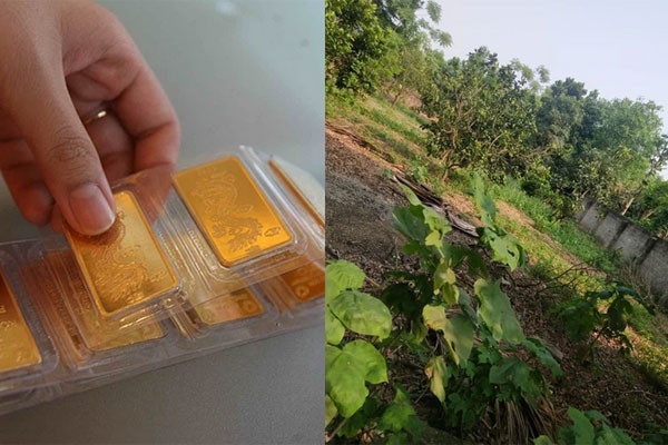 Cặp vợ chồng trẻ đạt được mục tiêu tiết kiệm đến 50% thu nhập chỉ với 4 thay đổi trong lối sống-3