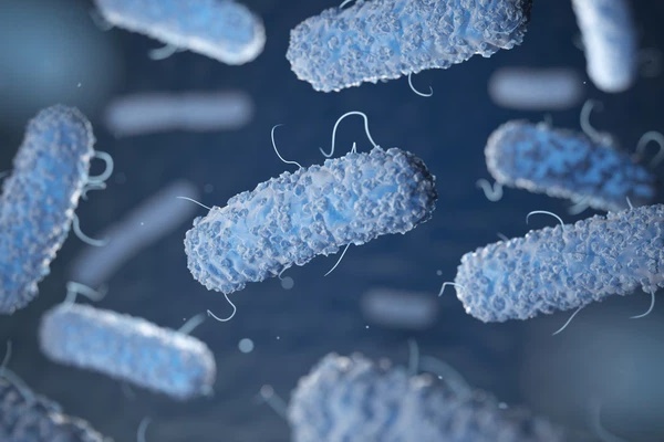 Đây là sát thủ vô hình” trong tủ lạnh của mỗi gia đình, nếu ăn phải có thể gây tử vong-2