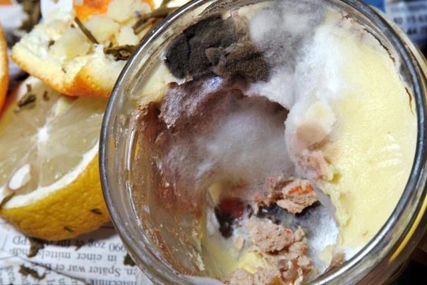 Đây là sát thủ vô hình” trong tủ lạnh của mỗi gia đình, nếu ăn phải có thể gây tử vong-3