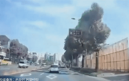 Hàn Quốc: Thảm họa tòa nhà 5 tầng đổ sập đè nát xe buýt khiến 9 người thiệt mạng, cảnh hiện trường rùng mình đến ám ảnh-1