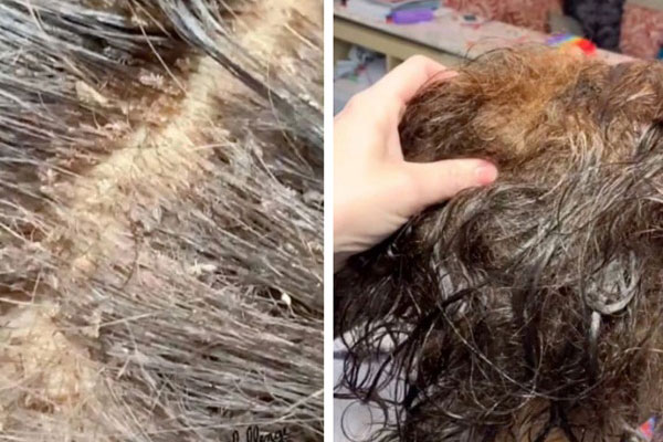 Cô gái nuôi tóc dài 1,60 m-1