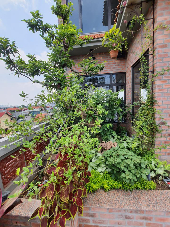 Nhà cổ nằm trên nóc biệt thự gần 500m2 ở Hà Nội-12