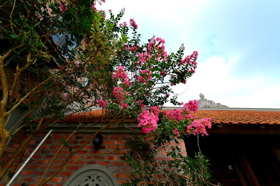 Nhà cổ nằm trên nóc biệt thự gần 500m2 ở Hà Nội-16