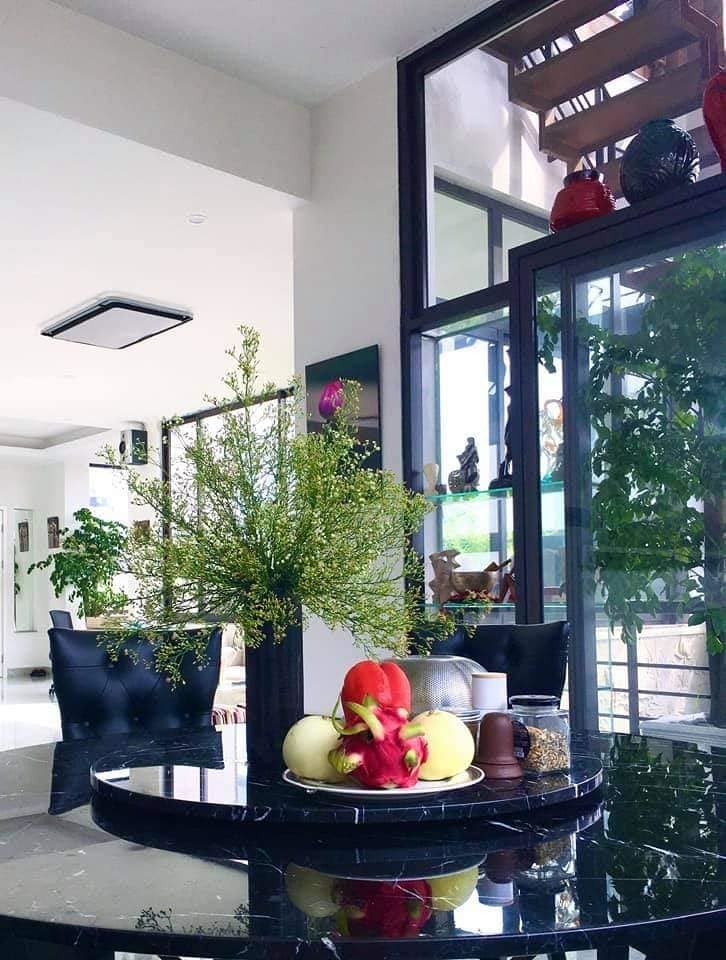 Nhà cổ nằm trên nóc biệt thự gần 500m2 ở Hà Nội-19