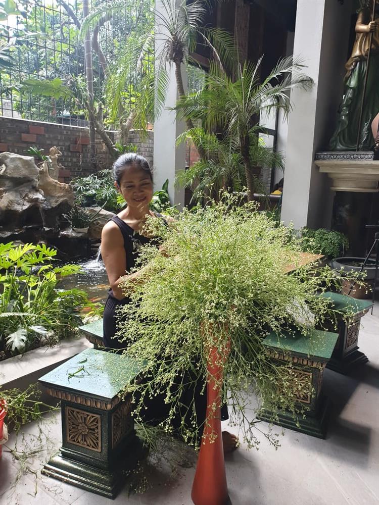 Nhà cổ nằm trên nóc biệt thự gần 500m2 ở Hà Nội-27