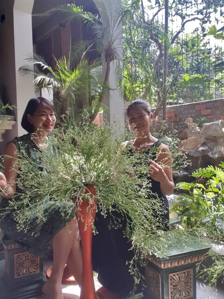 Nhà cổ nằm trên nóc biệt thự gần 500m2 ở Hà Nội-28