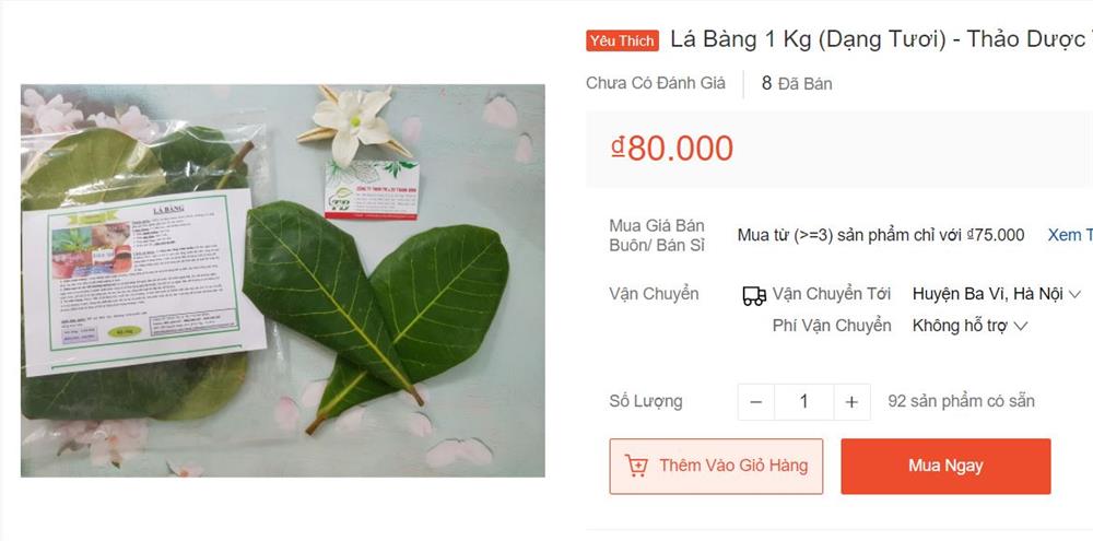 Lá bàng tươi rao bán khắp chợ mạng, giá lên đến 80.000 đồng/kg-1
