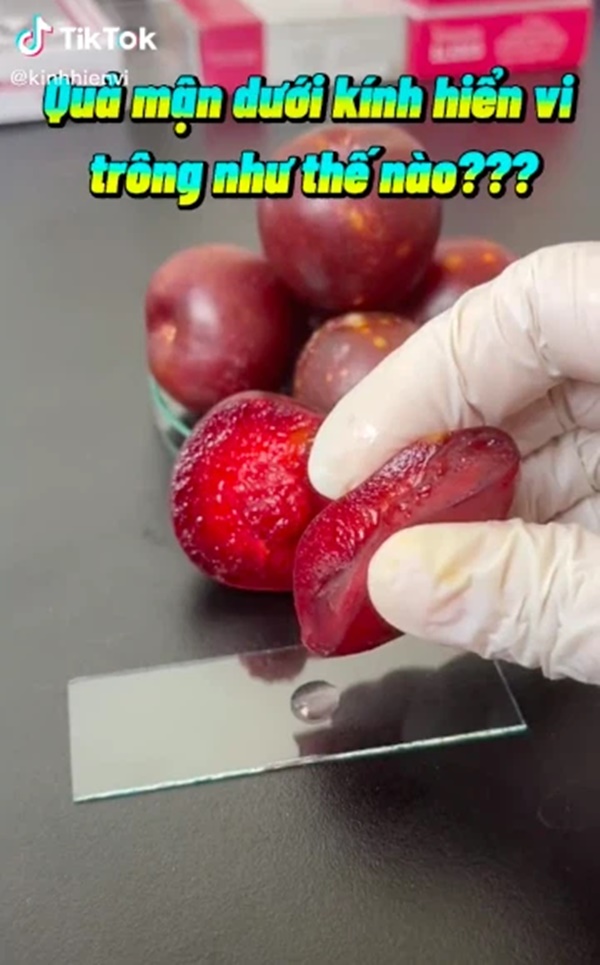 Kết quả bất ngờ khi soi quả mận dưới kính hiển vi và 5 đối tượng dù thèm cũng không nên ăn mận kẻo rước bệnh vào người-2