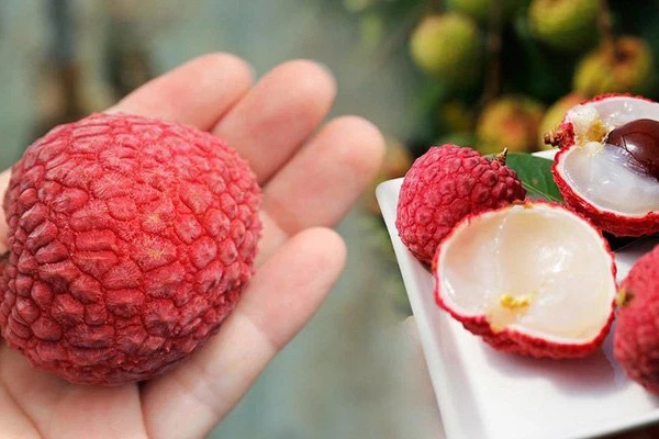 Hình ảnh bất ngờ khi soi quả vải dưới kính hiển vi và thời điểm trong ngày cần hạn chế ăn vải-6