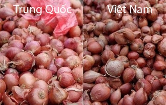 20 cách phân biệt rau củ Trung Quốc và Việt Nam, nắm chắc để tránh mua nhầm-9