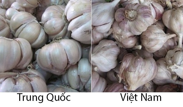 20 cách phân biệt rau củ Trung Quốc và Việt Nam, nắm chắc để tránh mua nhầm-18