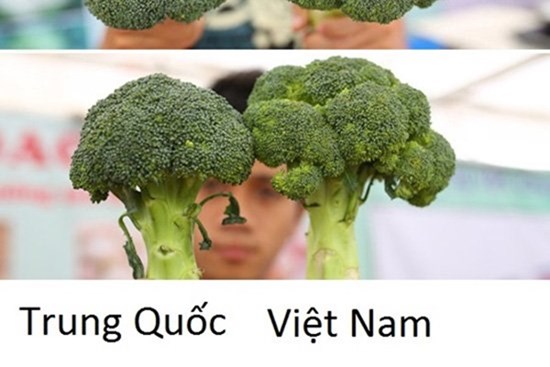 20 cách phân biệt rau củ Trung Quốc và Việt Nam, nắm chắc để tránh mua nhầm