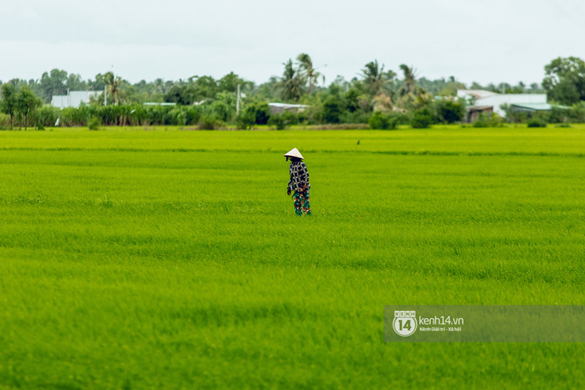 Trực tiếp đến Tiền Giang: Đau lòng khi thấy nhà Hồ Văn Cường bị bỏ hoang, hàng xóm kể lâu rồi không thấy bố mẹ ruột và Phi Nhung về thăm-18