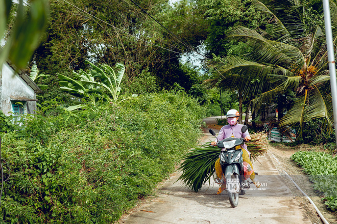 Trực tiếp đến Tiền Giang: Đau lòng khi thấy nhà Hồ Văn Cường bị bỏ hoang, hàng xóm kể lâu rồi không thấy bố mẹ ruột và Phi Nhung về thăm-19