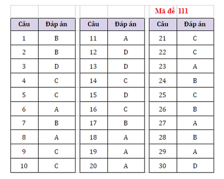 Đáp án đề thi vào lớp 10 môn tiếng Anh-3