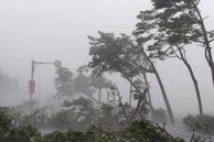 Bão số 2 giật cấp 10 đổ bộ đất liền từ Thái Bình đến Nghệ An, gây mưa dông gió giật cho khu vực Bắc Bộ