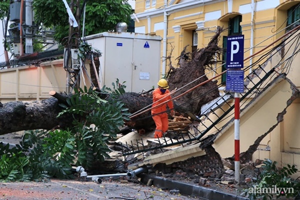 Gió mạnh thổi bay người đi bộ ở Trung Quốc-1