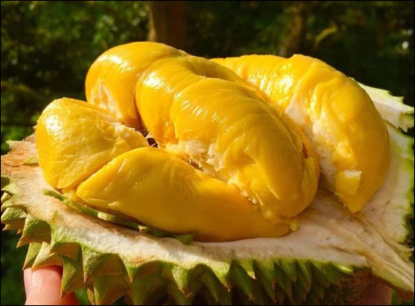 Cách làm kem bơ sầu riêng béo ngậy, chỉ nhìn thôi đã thấy&nbsp;ngon xuất sắc, quả là lựa chọn tuyệt vời cho team nghiện sầu-2