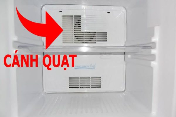Bắt bệnh tủ lạnh kêu to bất thường nhờ 6 điểm, nếu nắm vững chẳng có nhân viên sửa chữa nào qua mặt được bạn-3