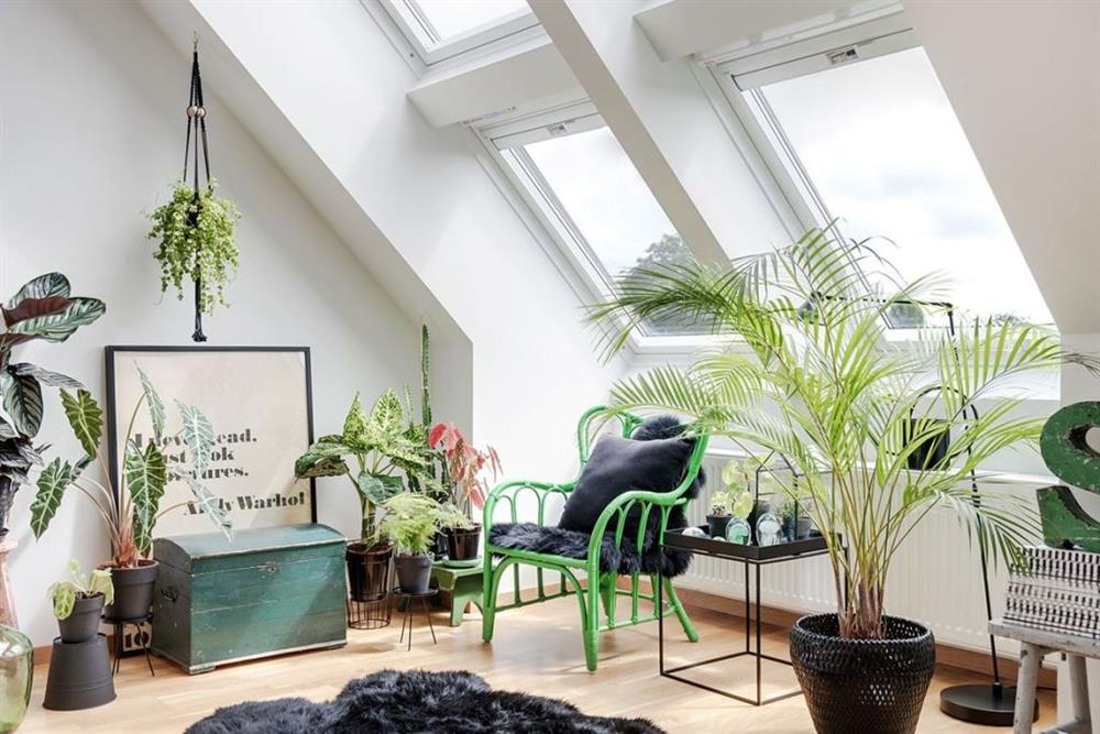 Ngôi nhà chơi màu bằng sự tươi mát của sắc xanh lá cây trong trang trí, chỉ nhìn thoáng qua đã thấy đẹp trong từng centimet-4