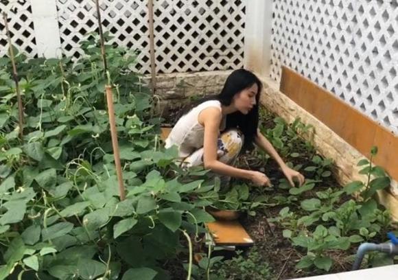 Cận cảnh căn biệt thự bề thế 22 tỷ trước khi bị đập đi để xây mới của vợ chồng Thủy Tiên - Công Vinh-8