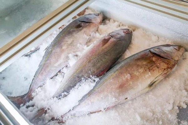 3 loại cá là bể chứa chất gây ung thư và kim loại nặng tuyệt đối đừng nên mua, nhưng nhiều người không biết vẫn ăn hàng ngày-2