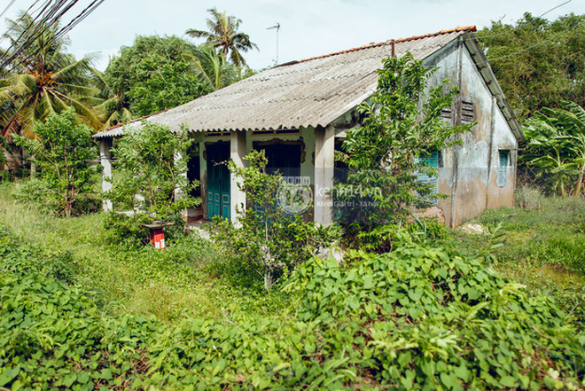 Một bầu show hội chợ hé lộ: Phi Nhung biết giá cát-xê của mình, từ khi có Hồ Văn Cường còn tăng giá từ 60 triệu lên 90 triệu?-7