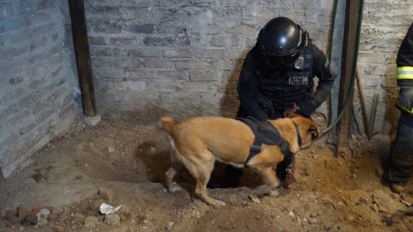 Đến xét nhà nghi phạm giết người, cảnh sát tìm thấy hơn 3.000 mẩu xương người chôn dưới sàn, phanh phui tội ác ghê tởm của gã đàn ông bán thịt-2