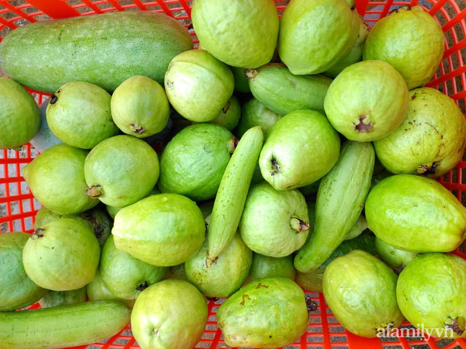 Vườn cây ăn quả trên sân thượng không khác gì một trang trại trên không ở quận 9, Sài Gòn-17