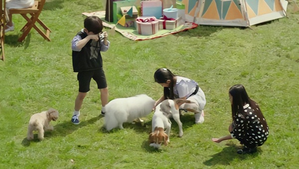 Việc nhẹ lương cao dành cho những cô nàng trí thức: Ngày làm 4 tiếng, mỗi tháng nhẹ nhàng đút túi hơn 70 triệu đồng-3