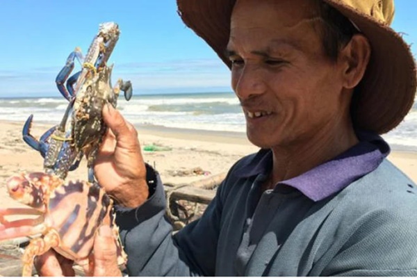 Chỉ cần bỏ ra 3 giây biết ngay tôm chứa chất natri tăng trưởng, chớ dại bỏ tiền mua-3