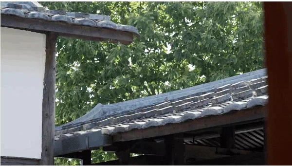 Đôi vợ chồng thạc sĩ bỏ việc về quê, cải tạo nhà cổ 700m2 thành không gian sống giữa thiên nhiên đẹp như tranh vẽ, con cái thoải mái chơi đùa: Ai xem cũng phải ao ước-20