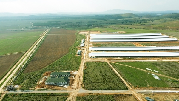 Vinamilk tiếp tục thuộc nhóm dẫn đầu Top 50 doanh nghiệp niêm yết tốt nhất 2021-2