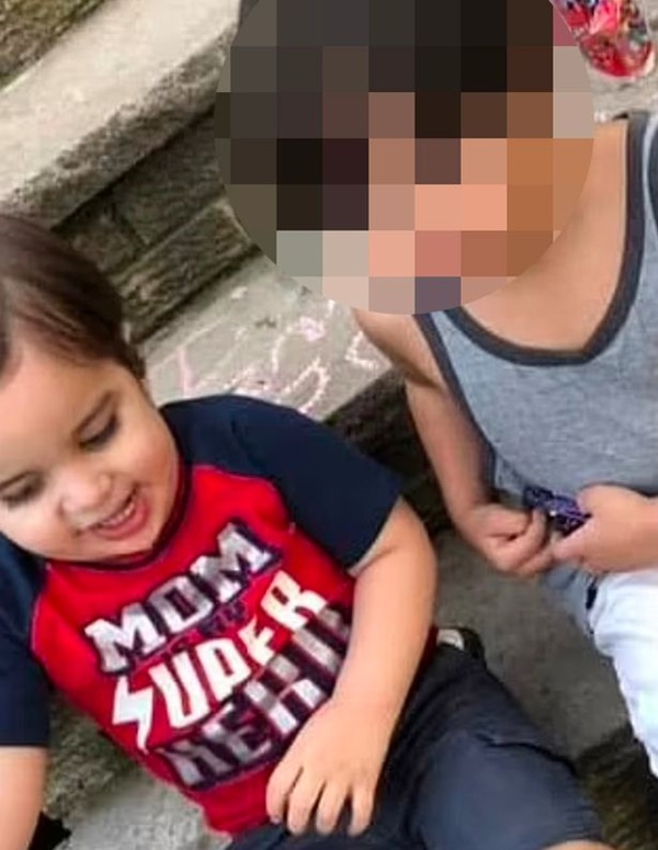 Con trai 3 tuổi té ngã từ cửa sổ, mẹ vội chạy xuống kiểm tra thì tận mắt chứng kiến cảnh đứa trẻ bị 2 con chó của gia đình tấn công-2
