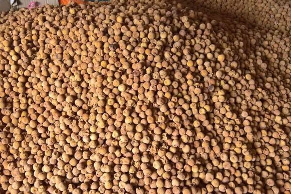 Khắp nơi lo ế vải thiều, bằng cách này bà chị bán giá cao vẫn cháy hàng-3