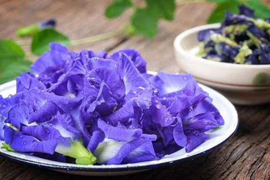 Hoa đậu biếc rất tốt cho sức khỏe nhưng có những người càng dùng càng độc, đặc biệt là 5 đối tượng này