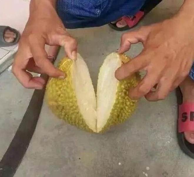 Chàng trai săn sale được trái sầu riêng 30 nghìn đồng, tưởng vớ món hời ai ngờ phải khóc ngất-1