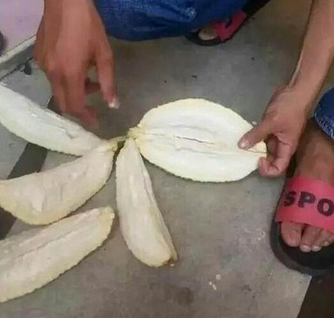 Chàng trai săn sale được trái sầu riêng 30 nghìn đồng, tưởng vớ món hời ai ngờ phải khóc ngất-2