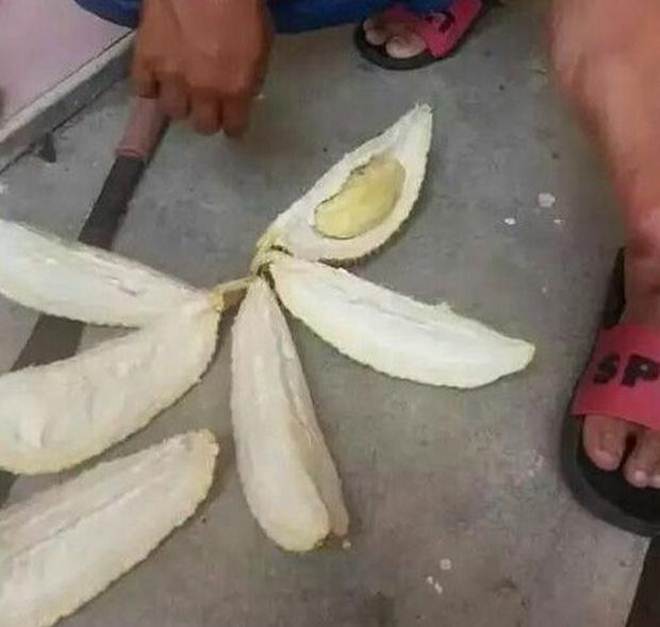 Chàng trai săn sale được trái sầu riêng 30 nghìn đồng, tưởng vớ món hời ai ngờ phải khóc ngất-3