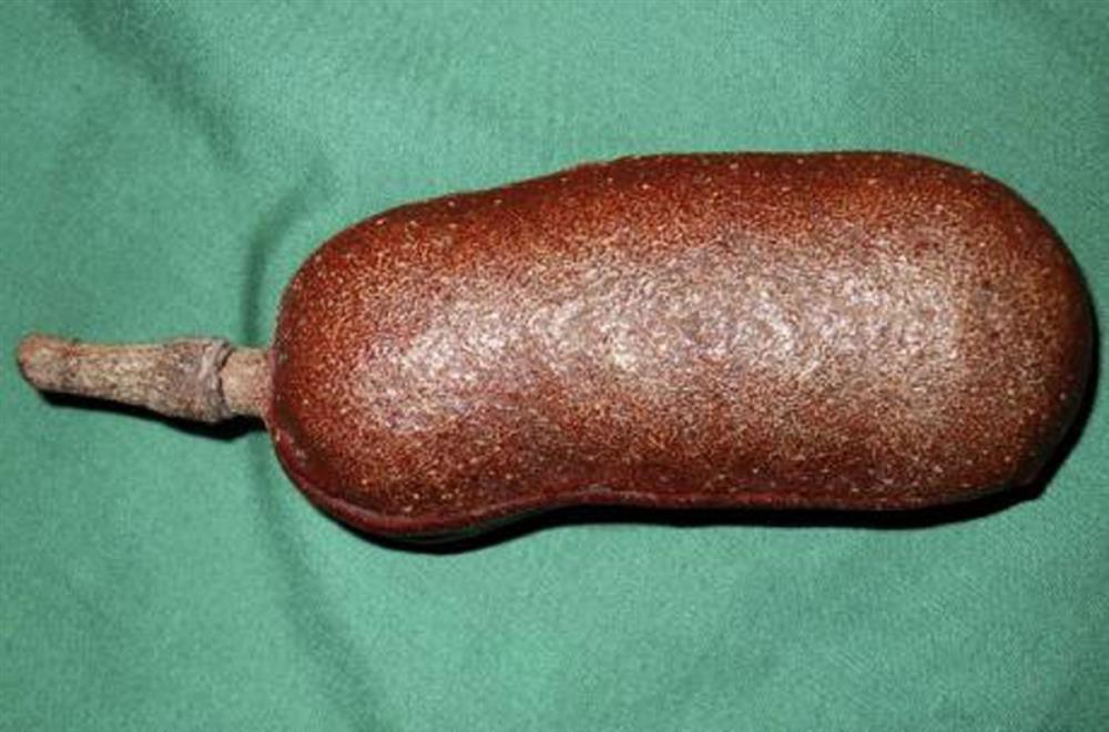 Những loại quả hiếm gặp, giá đắt nhưng ai cũng muốn mua về ăn thử-8