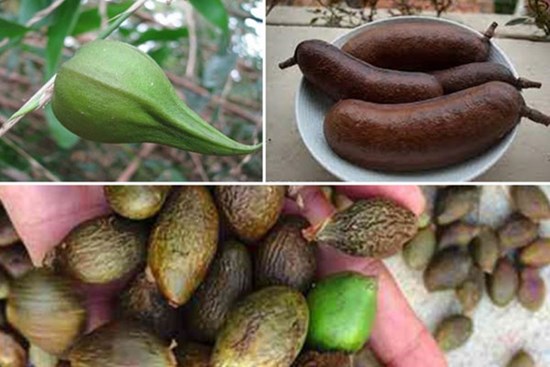 Những loại quả hiếm gặp, giá đắt nhưng ai cũng muốn mua về ăn thử