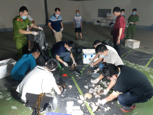 Nóng: Triệt phá cực tinh vi, phát hiện hơn 500kg chất cấm giấu trong dạ dày lợn, mô tơ điện-3