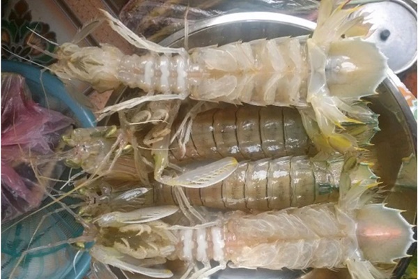 Chọn mực khô nhắm bia cứ nhắm vào điểm này: Đảm bảo mực câu xịn thơm ngon, không bị người bán hàng qua mặt-2