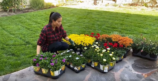 Ngắm khu vườn cây nào cũng trĩu quả và hoa rực rỡ trong biệt thự triệu đô ở Mỹ của Phạm Hương-2