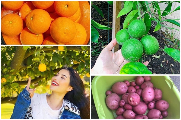 Đại gia Minh Nhựa tiết lộ mục đích mua cả căn biệt thự hàng chục tỷ khiến ai cũng ngỡ ngàng-5