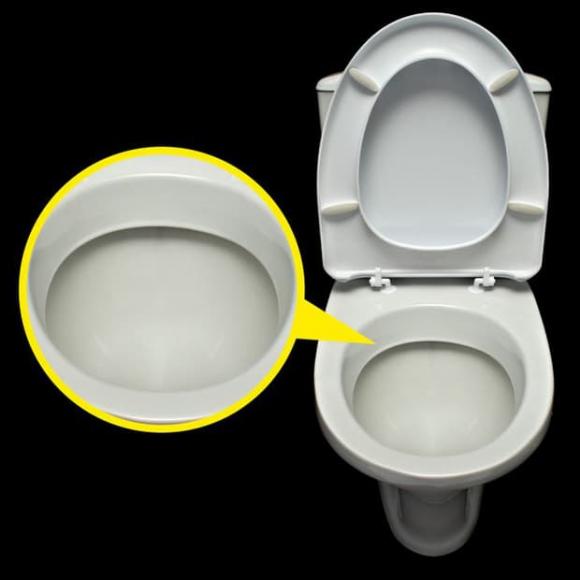 Tại sao bồn cầu toilet luôn có màu trắng dù nó rất dễ bẩn? Lý do phía sau tưởng vô lý, hóa ra lại cực kỳ thuyết phục-1